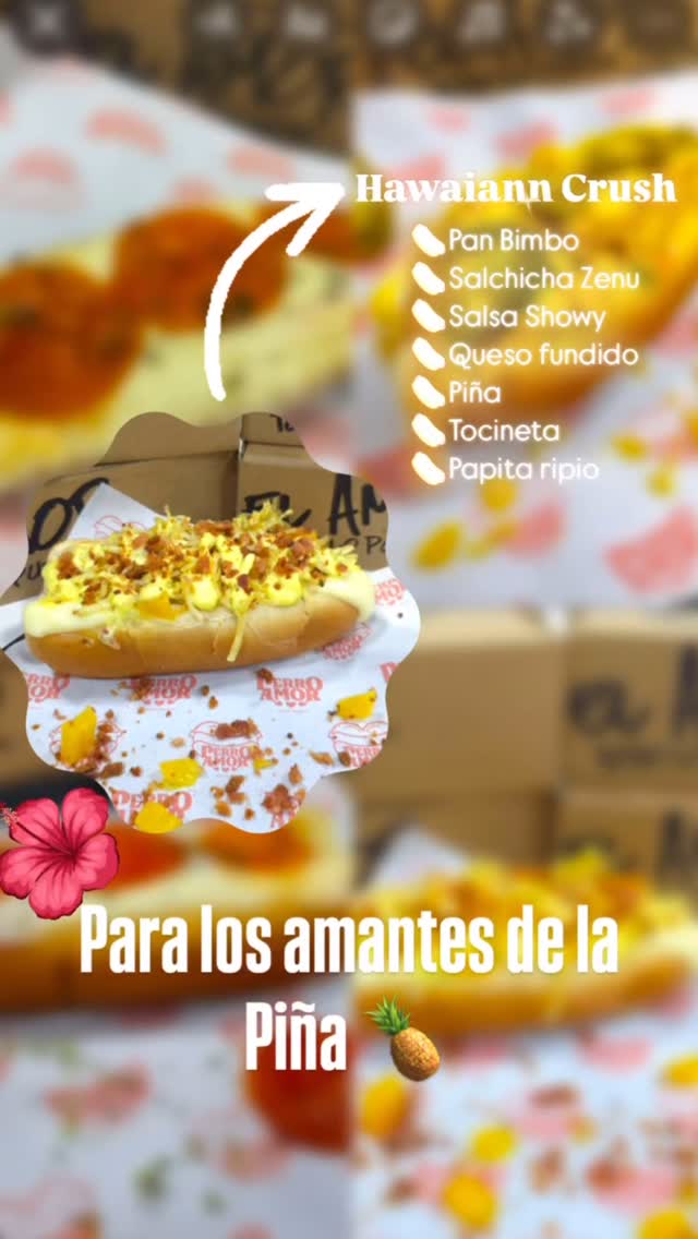Perrito Hawaiano