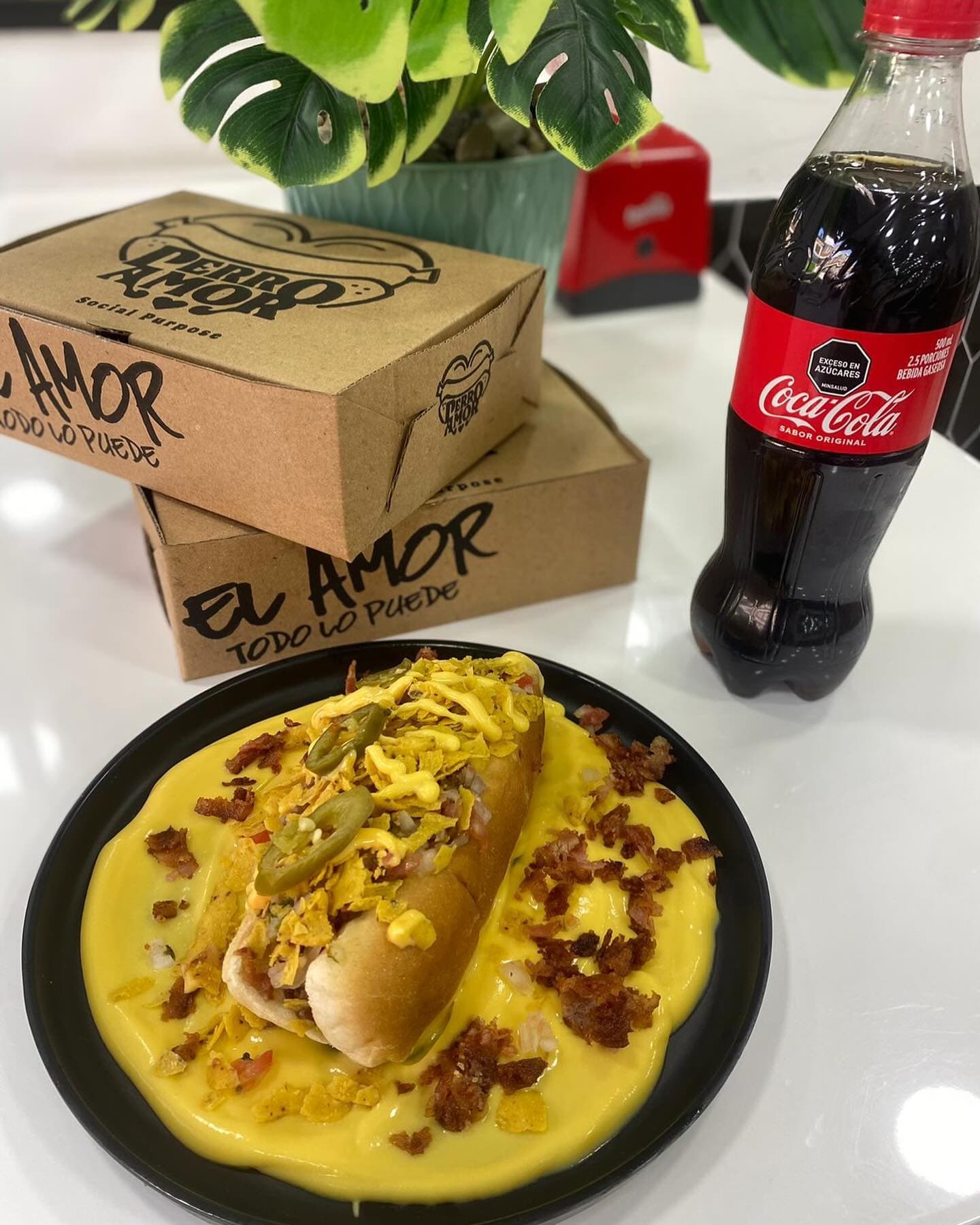 Perrito con queso derretido