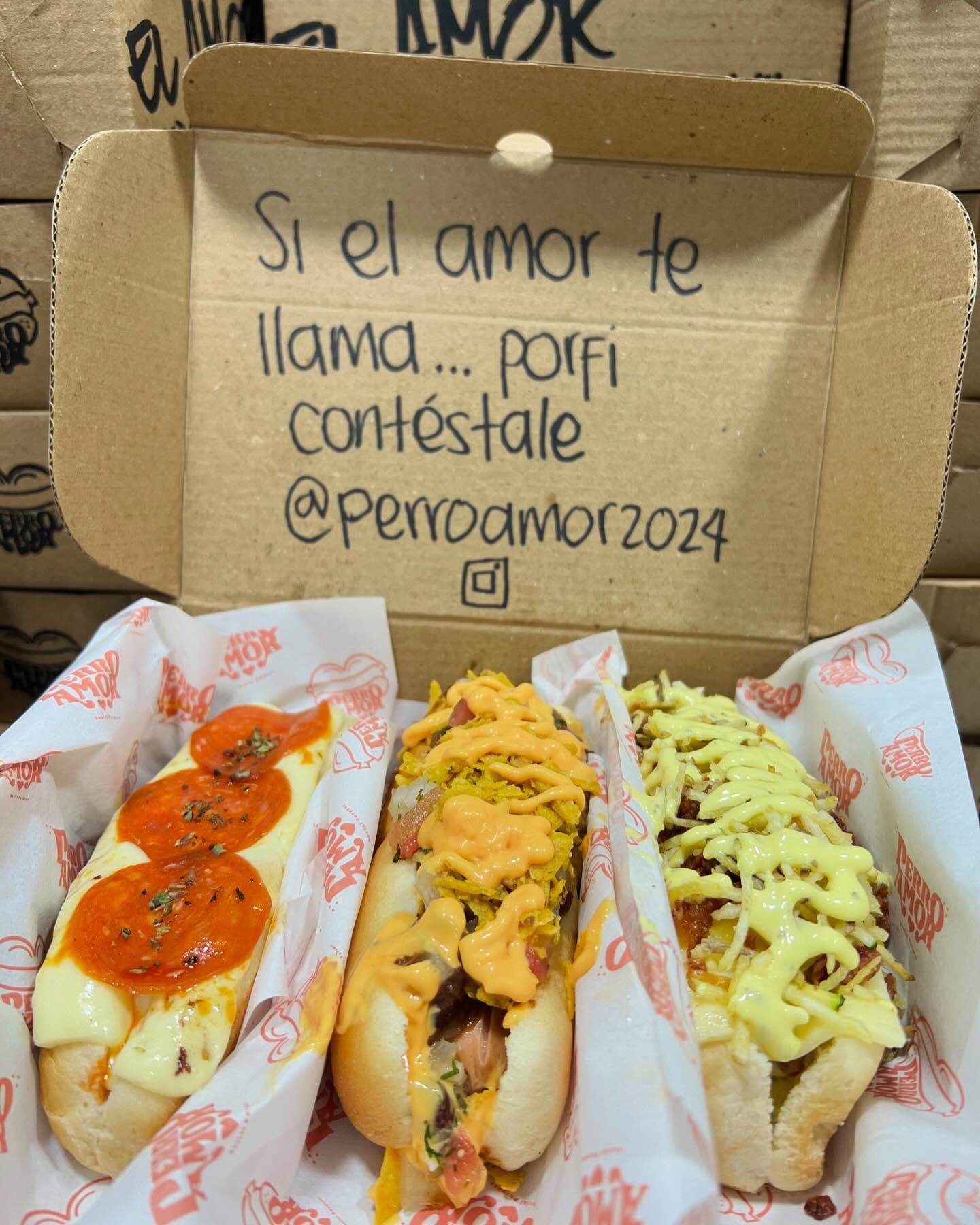 Caja de 3 perritos